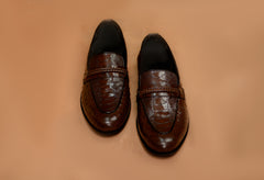 Ostrich/Fish Robe Brown RS-24